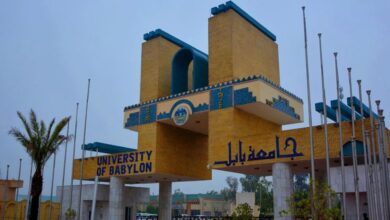 جامعة بابل