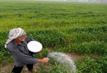 مدينة الشباب الزراعية