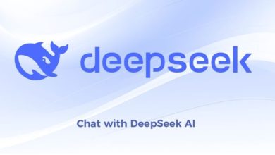 DeepSeek